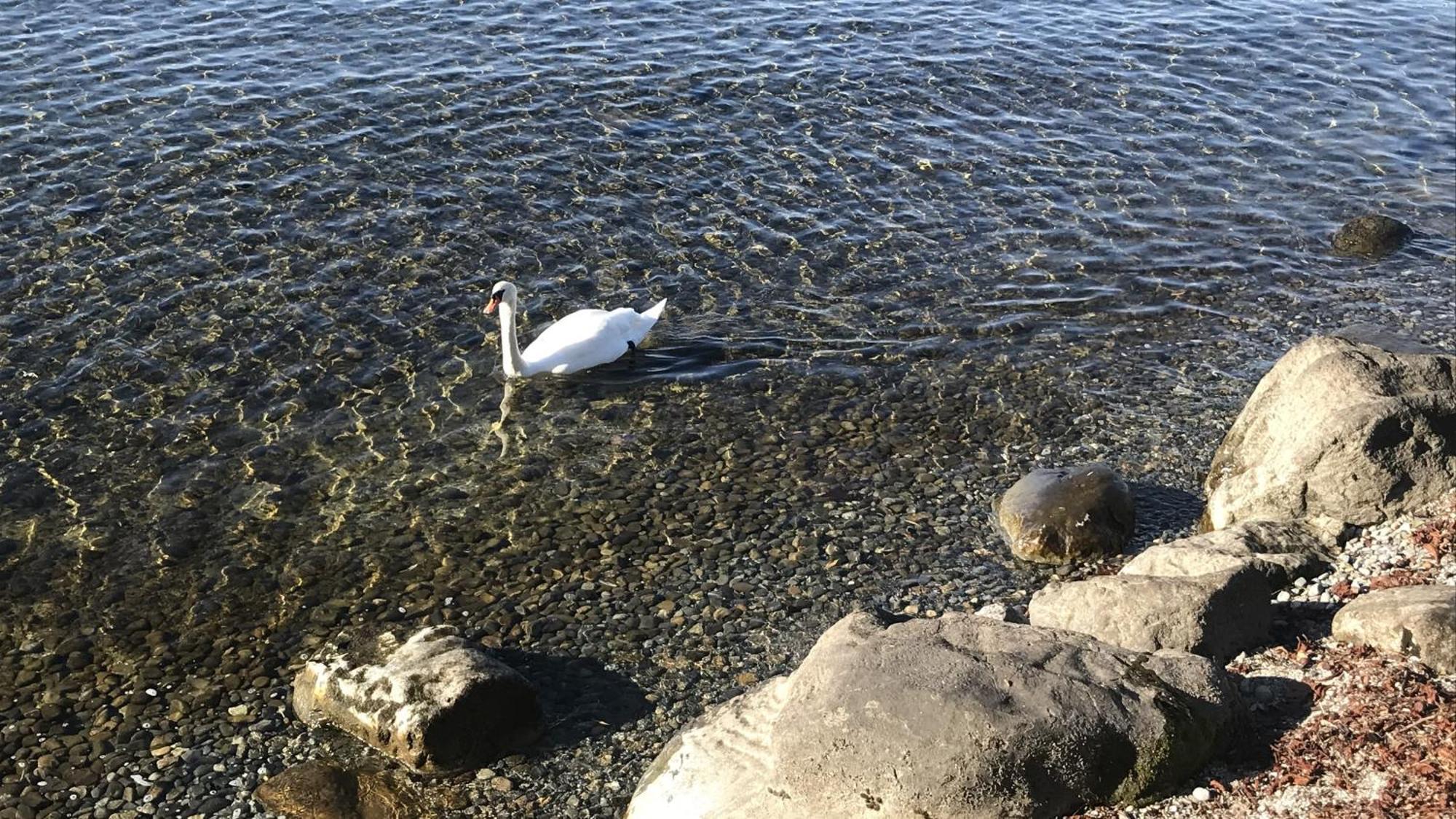 Maisonette Am See ノネンホルン エクステリア 写真